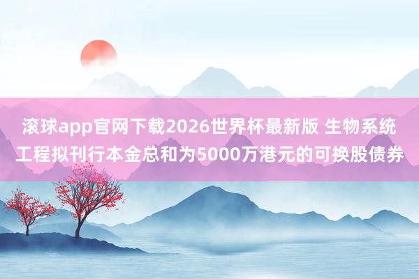 滚球app官网下载2026世界杯最新版 生物系统工程拟刊行本金总和为5000万港元的可换股债券