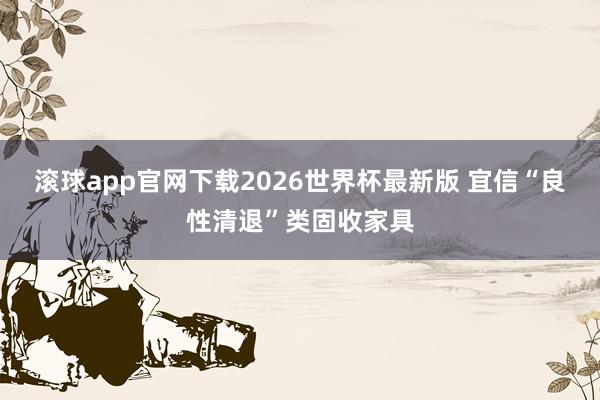 滚球app官网下载2026世界杯最新版 宜信“良性清退”类固收家具