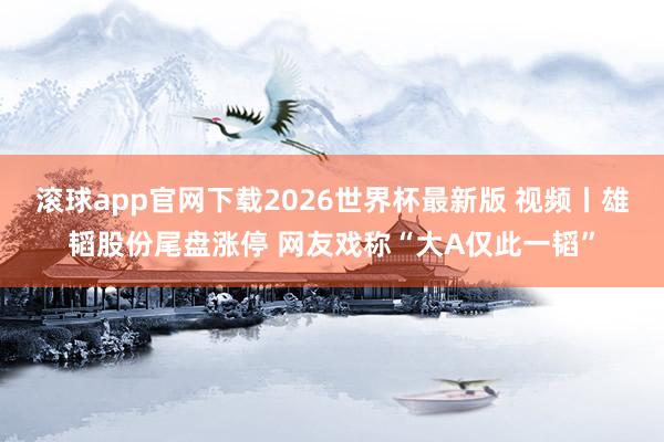 滚球app官网下载2026世界杯最新版 视频丨雄韬股份尾盘涨停 网友戏称“大A仅此一韬”
