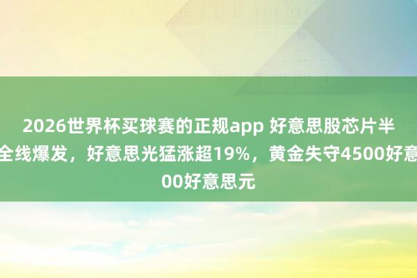 2026世界杯买球赛的正规app 好意思股芯片半导体全线爆发,好意思光猛涨超19%,黄金失守4500好意思元