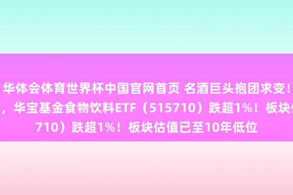 买球赛的正规app 名酒巨头抱团求变!吃喝板块持续寻底,华宝基金食物饮料ETF(515710)跌超1%!板块估值已至10年低位