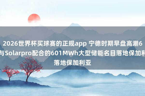 2026世界杯买球赛的正规app 宁德时期早盘高潮6% 与Solarpro配合的601MWh大型储能名目落地保加利亚
