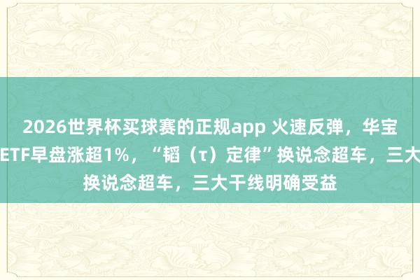 2026世界杯买球赛的正规app 火速反弹,华宝基金科创芯片ETF早盘涨超1%,“韬(τ)定律”换说念超车,三大干线明确受益