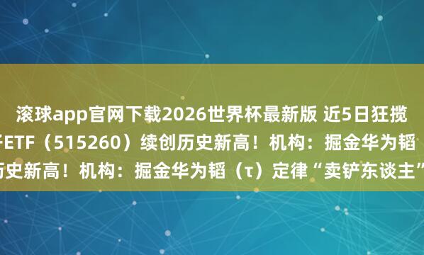 滚球app官网下载2026世界杯最新版 近5日狂揽1.2亿元!华宝基金电子ETF(515260)续创历史新高!机构:掘金华为韬(τ)定律“卖铲东谈主”!