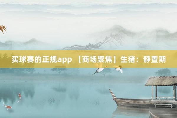 买球赛的正规app 【商场聚焦】生猪:静置期