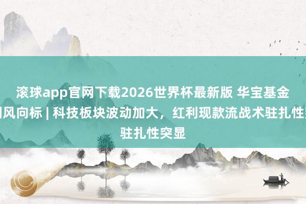 滚球app官网下载2026世界杯最新版 华宝基金红利风向标 | 科技板块波动加大,红利现款流战术驻扎性突显