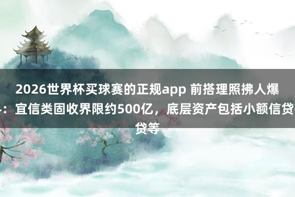 2026世界杯买球赛的正规app 前搭理照拂人爆料:宜信类固收界限约500亿,底层资产包括小额信贷等