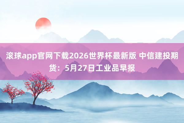 滚球app官网下载2026世界杯最新版 中信建投期货:5月27日工业品早报