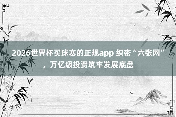 2026世界杯买球赛的正规app 织密“六张网”,万亿级投资筑牢发展底盘