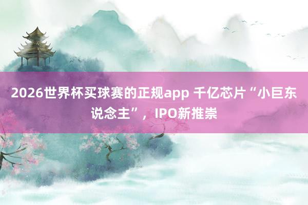 2026世界杯买球赛的正规app 千亿芯片“小巨东说念主”,IPO新推崇