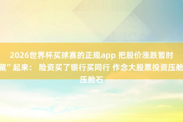 2026世界杯买球赛的正规app 把股价涨跌暂时“藏”起来: 险资买了银行买同行 作念大股票投资压舱石