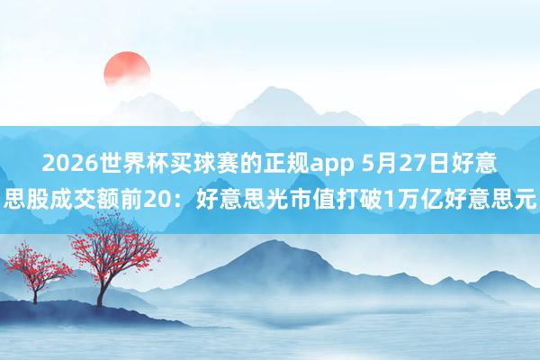 2026世界杯买球赛的正规app 5月27日好意思股成交额前20:好意思光市值打破1万亿好意思元
