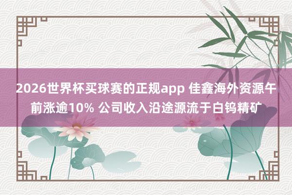 2026世界杯买球赛的正规app 佳鑫海外资源午前涨逾10% 公司收入沿途源流于白钨精矿
