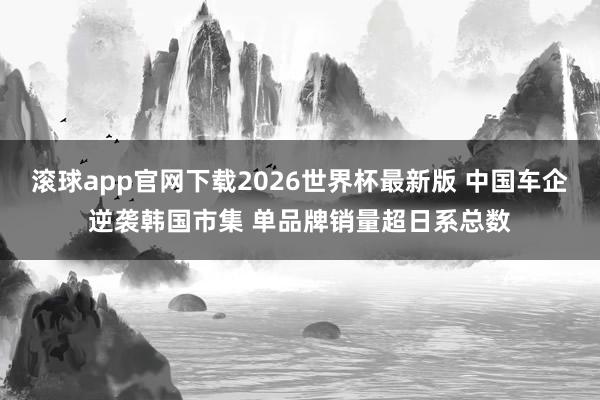 滚球app官网下载2026世界杯最新版 中国车企逆袭韩国市集 单品牌销量超日系总数