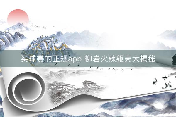 买球赛的正规app 柳岩火辣躯壳大揭秘