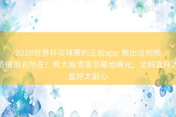 2026世界杯买球赛的正规app 熊出没狗熊岭全员催泪名所在！熊大崩溃落泪蓦地曝光，全网直呼太戳心