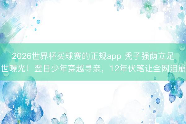 2026世界杯买球赛的正规app 秃子强荫立足世曝光!翌日少年穿越寻亲,12年伏笔让全网泪崩