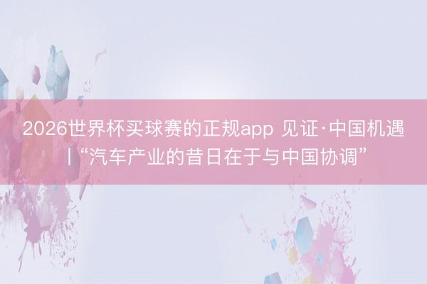 2026世界杯买球赛的正规app 见证·中国机遇丨“汽车产业的昔日在于与中国协调”