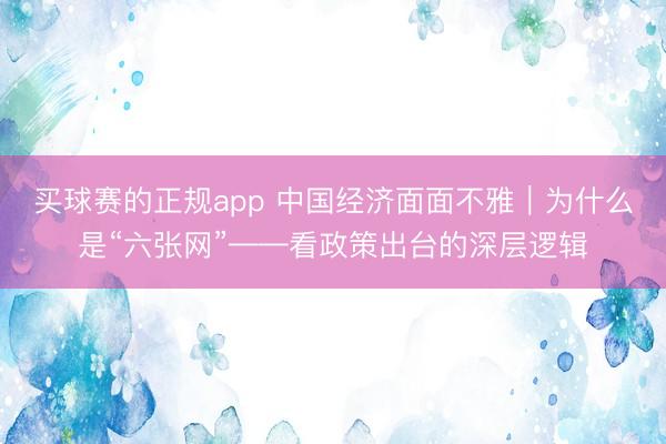 买球赛的正规app 中国经济面面不雅|为什么是“六张网”——看政策出台的深层逻辑