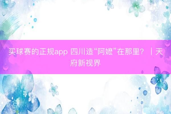 买球赛的正规app 四川造“阿嬷”在那里？｜天府新视界