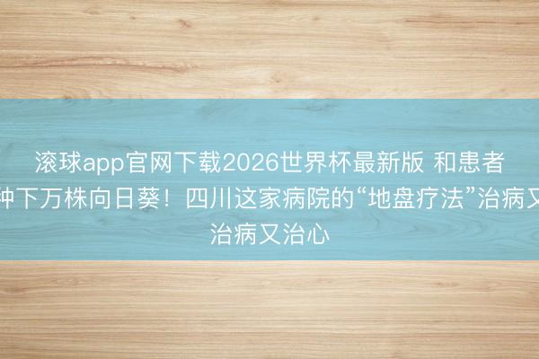 滚球app官网下载2026世界杯最新版 和患者一同种下万株向日葵!四川这家病院的“地盘疗法”治病又治心