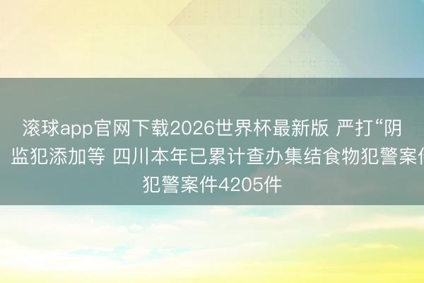 滚球app官网下载2026世界杯最新版 严打“阴魂外卖”、监犯添加等 四川本年已累计查办集结食物犯警案件4205件