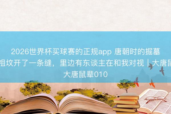2026世界杯买球赛的正规app 唐朝时的掘墓除妖:祖坟开了一条缝,里边有东谈主在和我对视|大唐鼠辈010