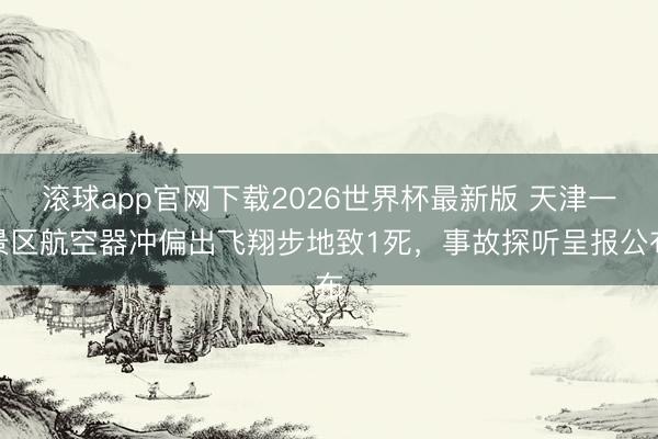滚球app官网下载2026世界杯最新版 天津一景区航空器冲偏出飞翔步地致1死，事故探听呈报公布