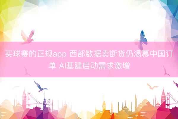 买球赛的正规app 西部数据卖断货仍渴慕中国订单 AI基建启动需求激增